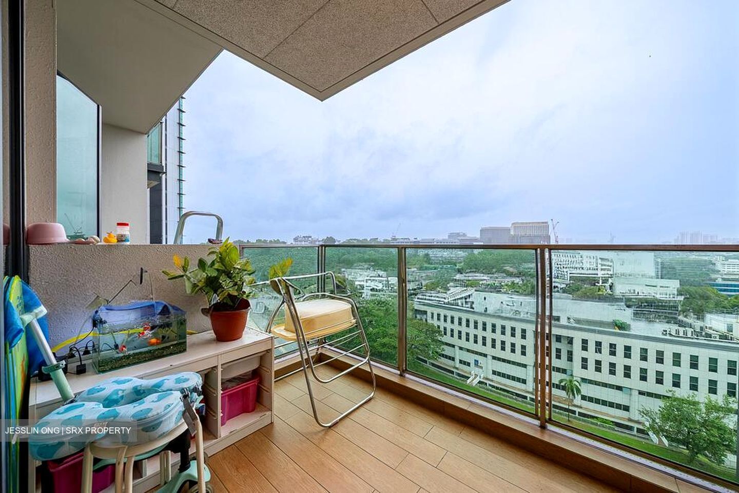 Normanton Park (D5), Apartment #576121611